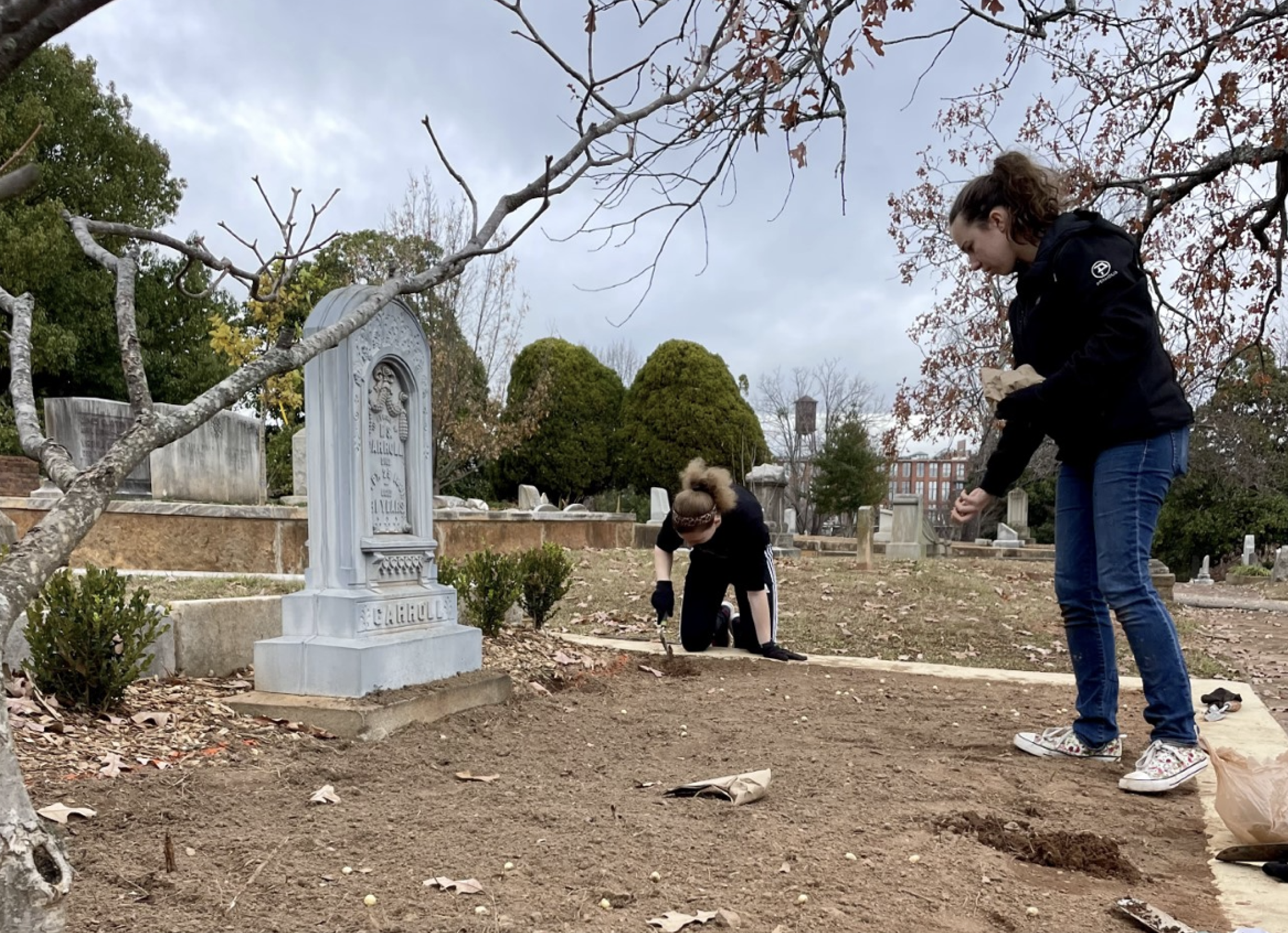 HP students plant bulbs at a burial plot in Oakland Cemetery